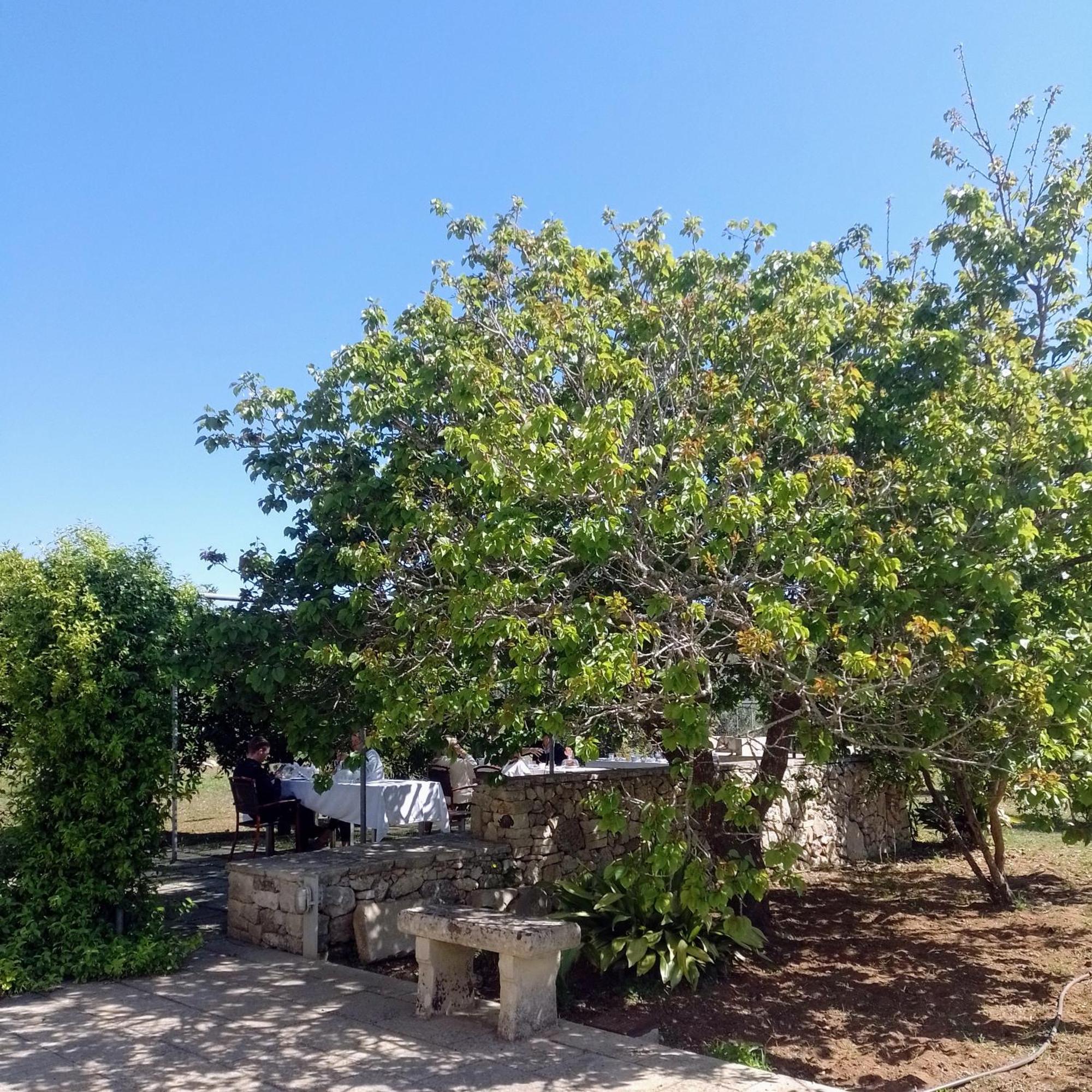 Agriturismo Villa Coluccia Martano Dış mekan fotoğraf