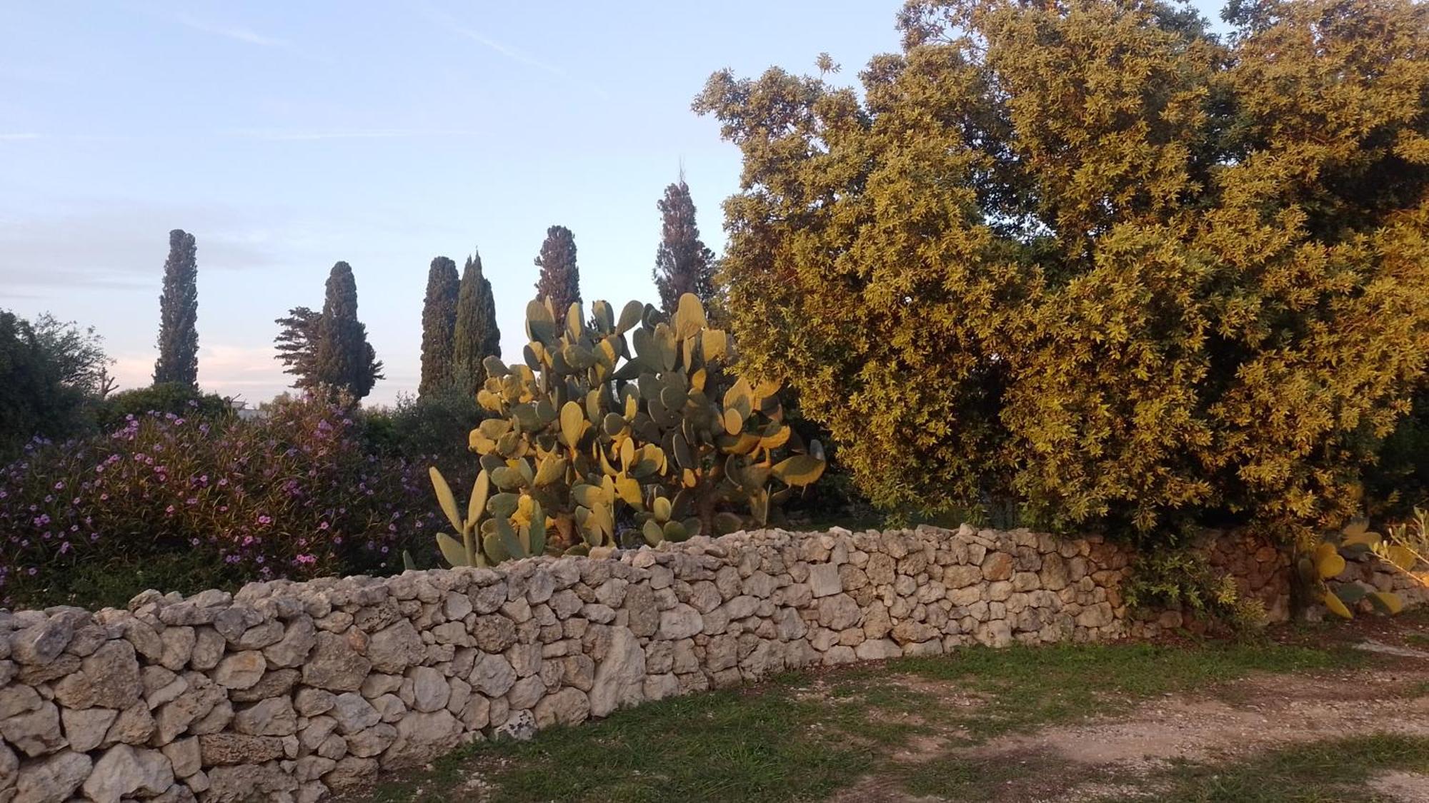 Agriturismo Villa Coluccia Martano Dış mekan fotoğraf