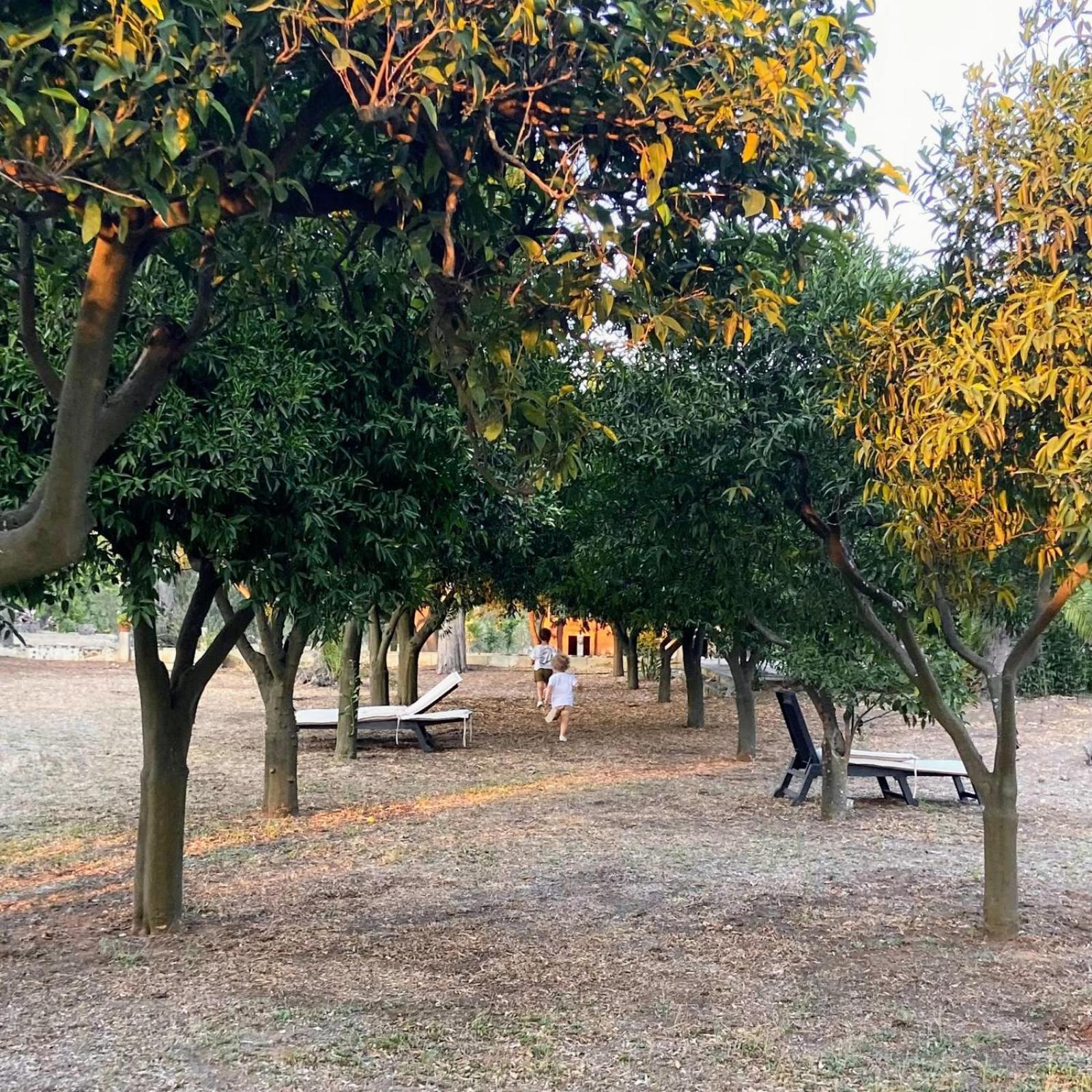 Agriturismo Villa Coluccia Martano Dış mekan fotoğraf