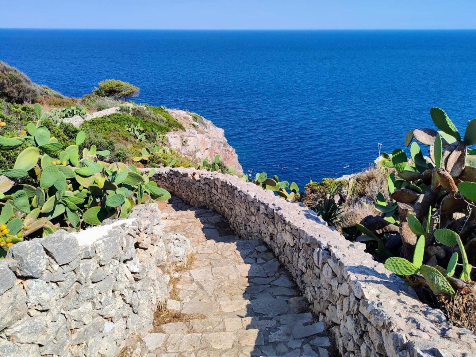 Agriturismo Villa Coluccia Martano Dış mekan fotoğraf