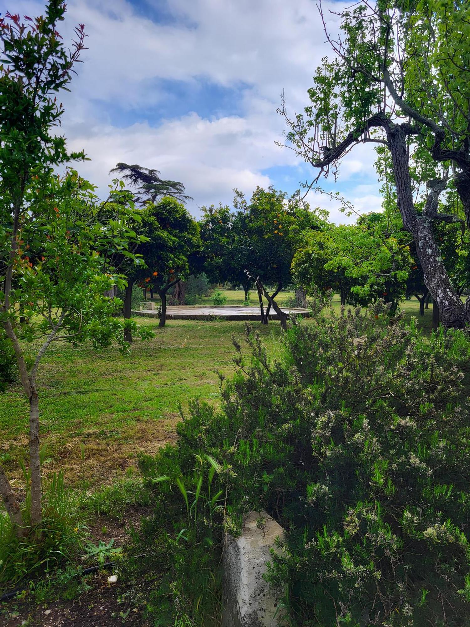 Agriturismo Villa Coluccia Martano Dış mekan fotoğraf